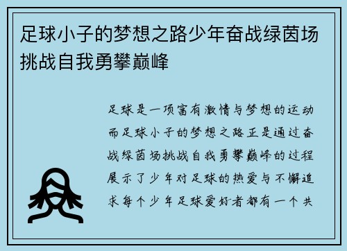 足球小子的梦想之路少年奋战绿茵场挑战自我勇攀巅峰